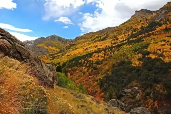 nevada mountains ravine