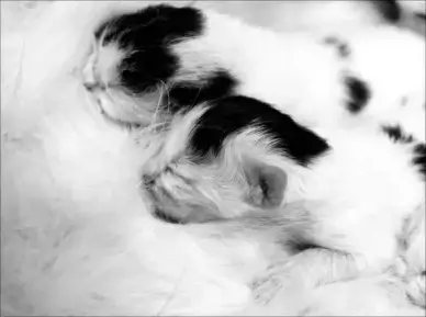 new life 