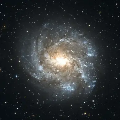 ngc 2082 barred spiral galaxy constellation schwertfisch