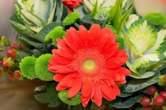 nice flowers