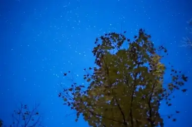 night fall foliage autumn leaves stars