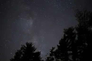 night stars milky way trees