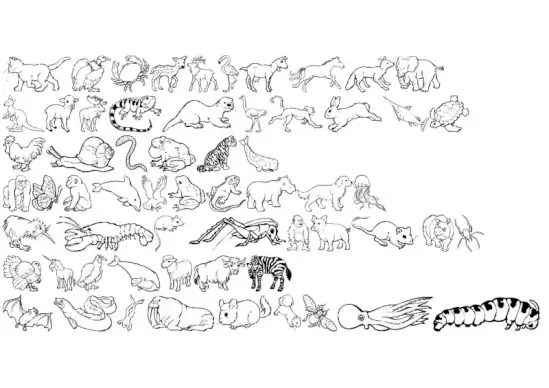 Nina's Animals