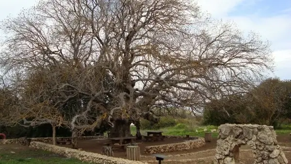 northern israel