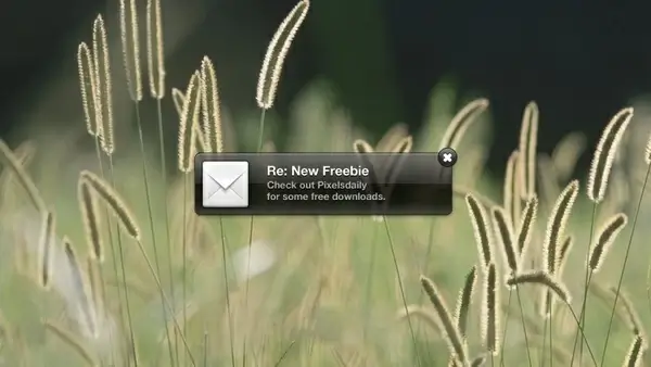 Notification Style