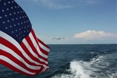 ocean sea seagull