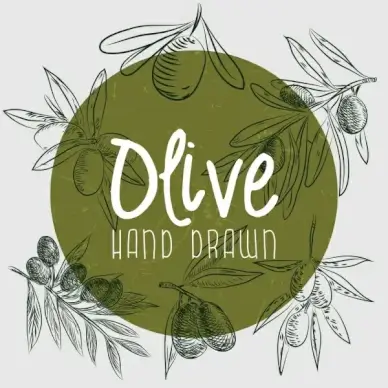 olive advertising handdrawn fruits decoration