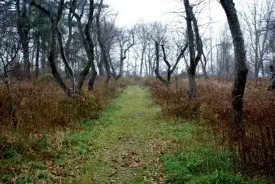 one less traveled
