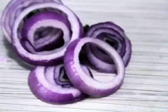 onion rings