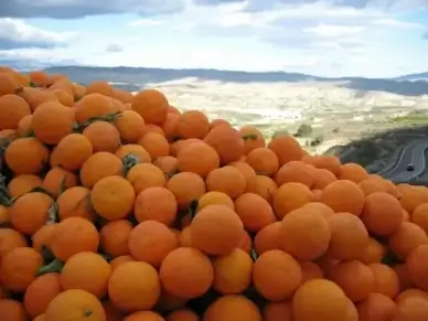 orange spain sunny