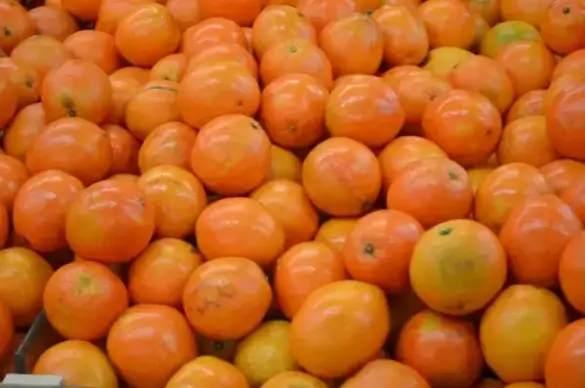oranges