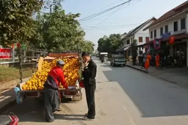 oranges
