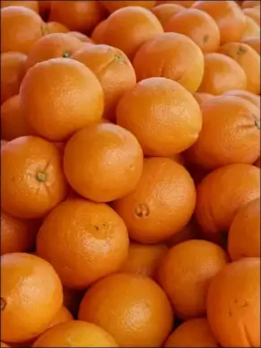 oranges 758