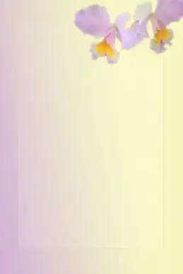orchid background
