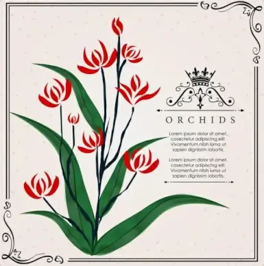 orchid background classical handdrawn design