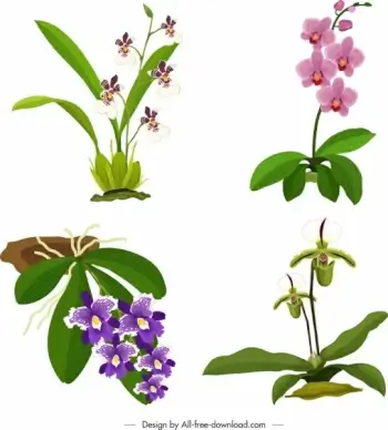 orchid icons colorful bright design