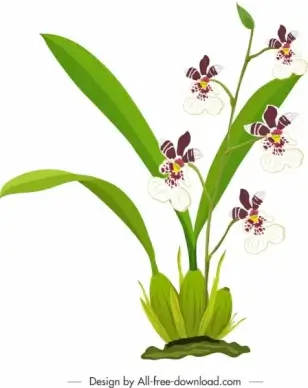 orchid painting colored classical design
