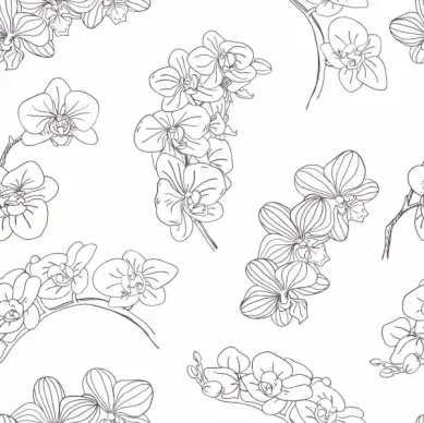 orchids background black white handdrawn sketch