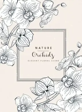 orchids background handdrawn sketch