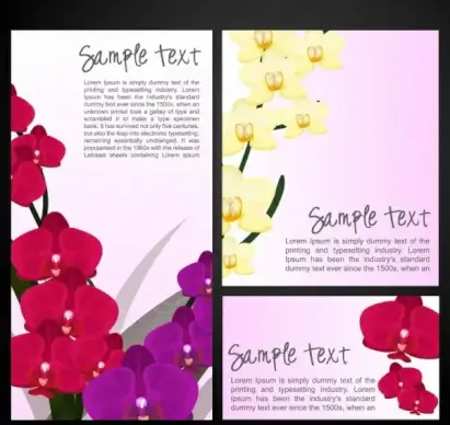 orchids paintings sets colorful decoration