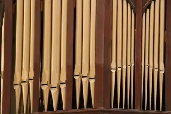 organ pipes