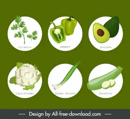 organic food icons green vegetables fruits sketch