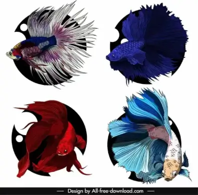 ornamental fish icons colorful sketch swimming species