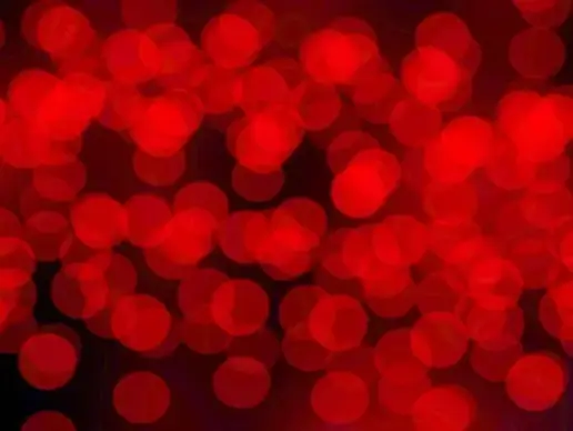 outoffocus christmas lights