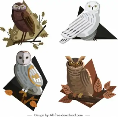 owl animals icons colored cartoon design