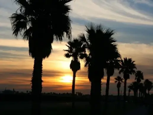 pacific coast sunrise