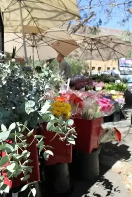 paddington market flower stall