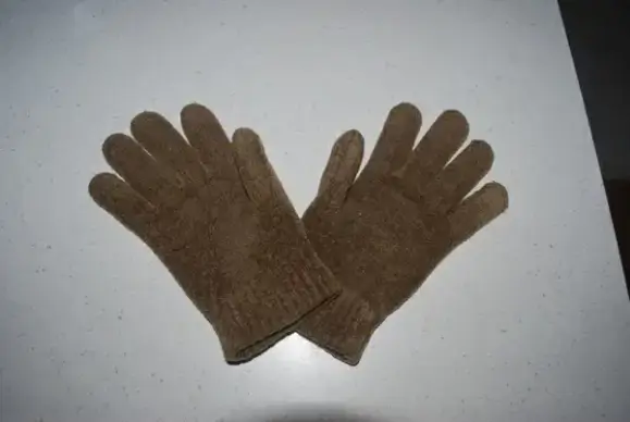 pair of gloves