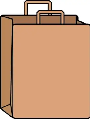 Paper Shopping Bag