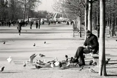 paris lhomme aux oiseaux jardin des tuileries