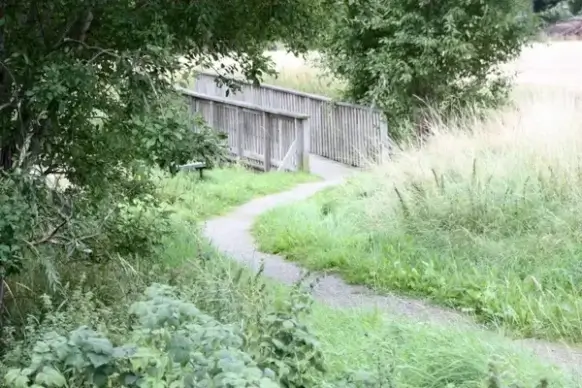 path