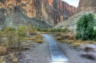 path into the canyon at big bend national park texas