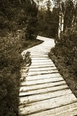 path of peat bogs
