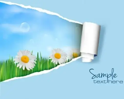 pattern background cover 02 vector