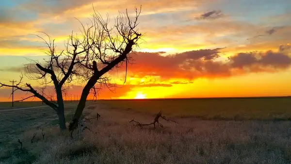 peaceful sunset