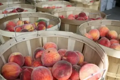 peach