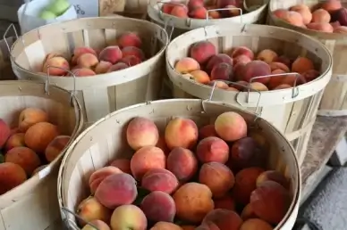 peach