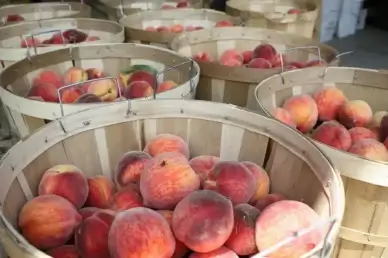 peach