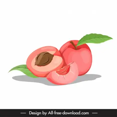 peach design elements fruits leaf slice sketch vintage handdrawn