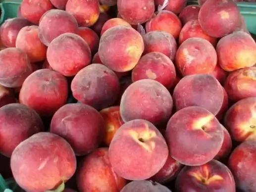 peaches delicious peaches peach