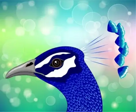 peacock drawing blue feather head closeup bokeh background