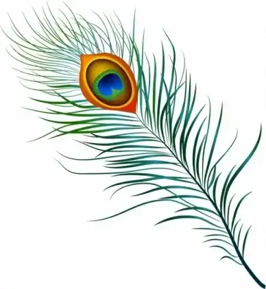 Peacock Feather