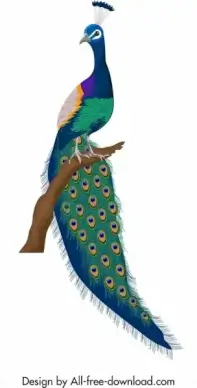 peacock icon colorful elegant decor