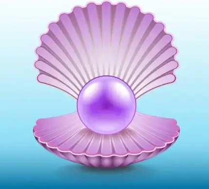 pearl shell icon bright shiny violet design