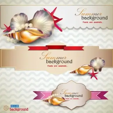 pearls and seashells elements label vector