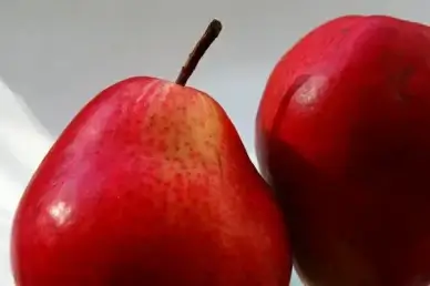 pears